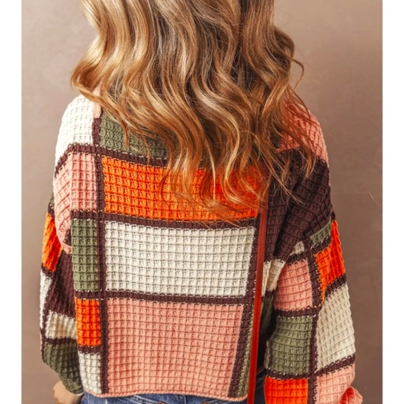 Belgian - Picture 4 of 4